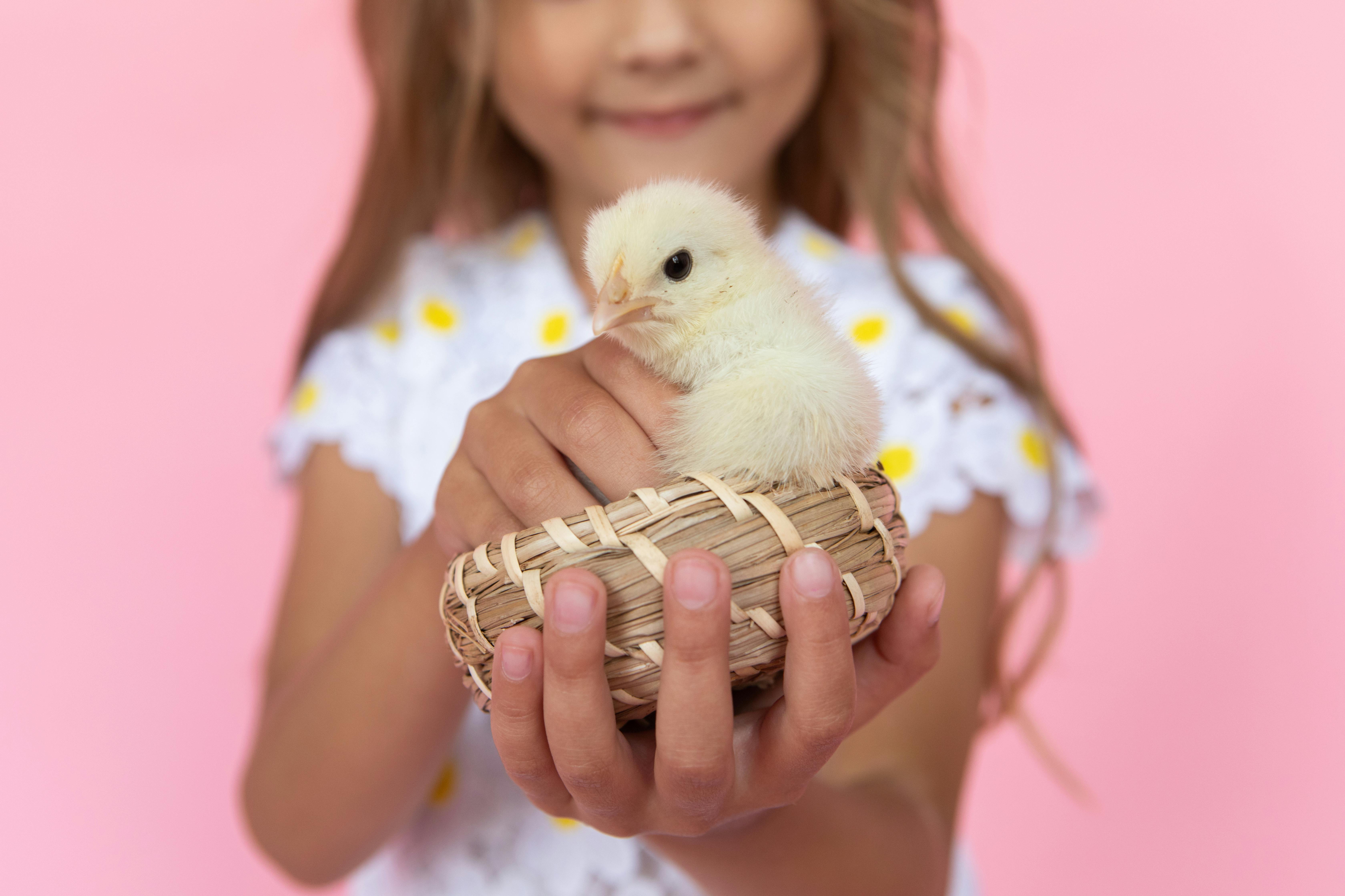 5 Key Factors to Consider When Selecting a Babysitter