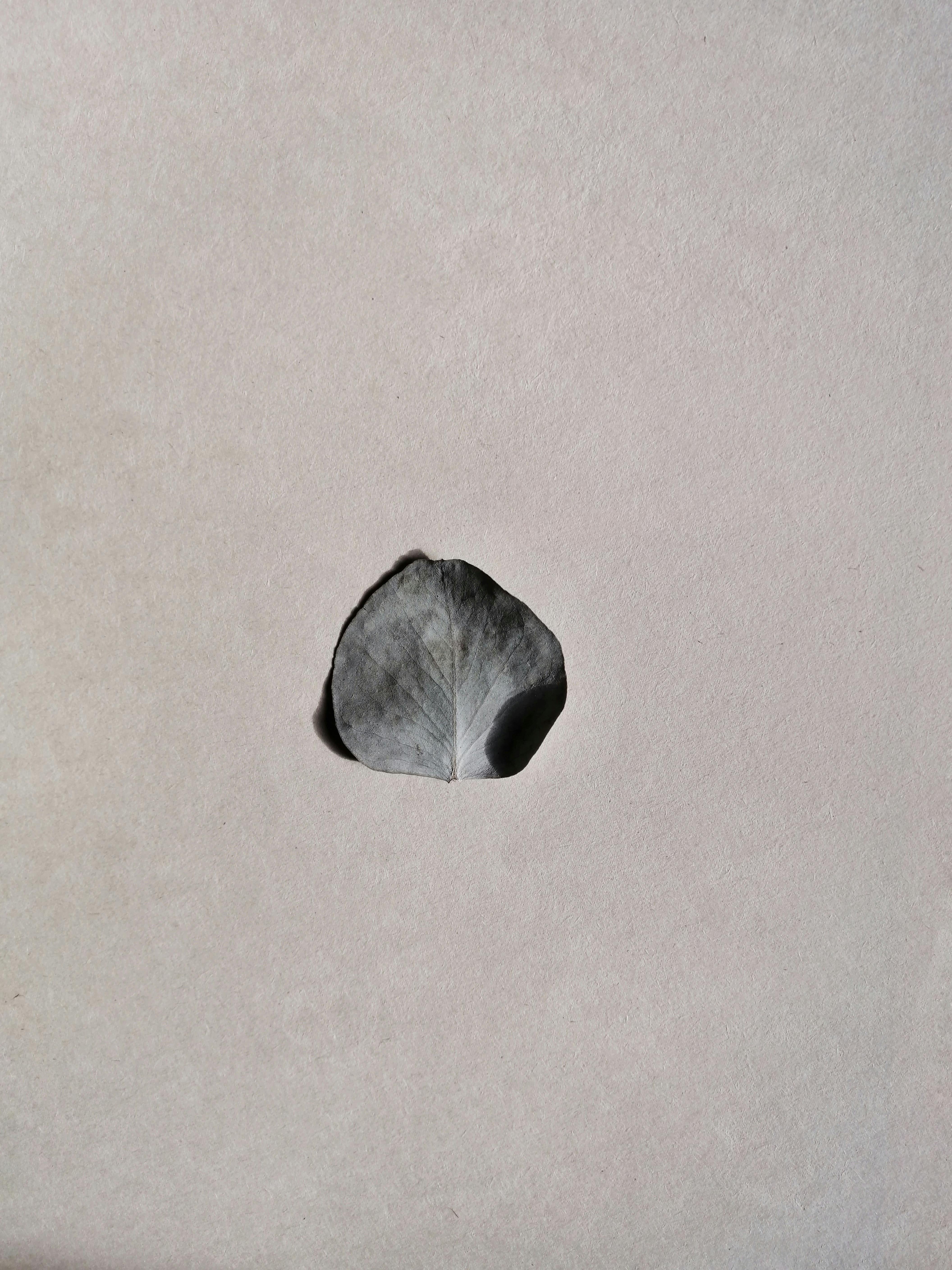 Date Night Ideas in Casper, WY