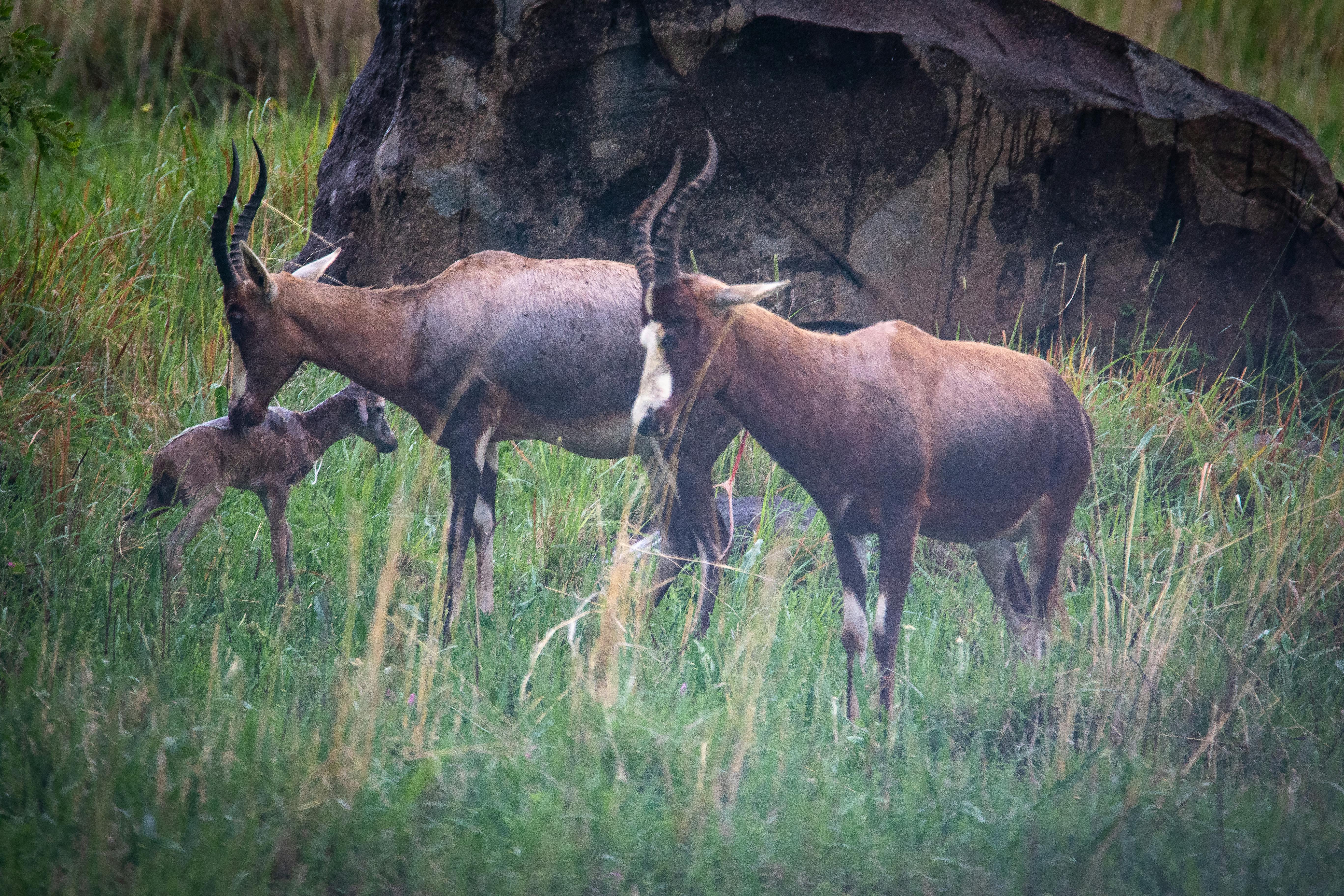 How to Create a Successful Babysitting Program for Your Employees